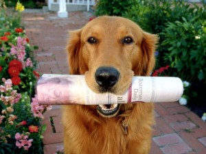 Sparky Getting the Newspaper